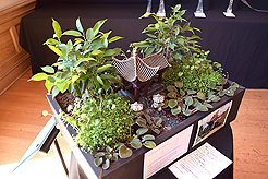 TIMELESS TACOMA TREASURES